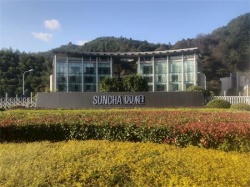 祝雙槍科技股份有限公司通過ITS審核的新版GSV認證